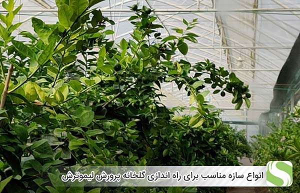 انواع سازه مناسب برای راه اندازی گلخانه پرورش لیموترش - اندیشه سبز