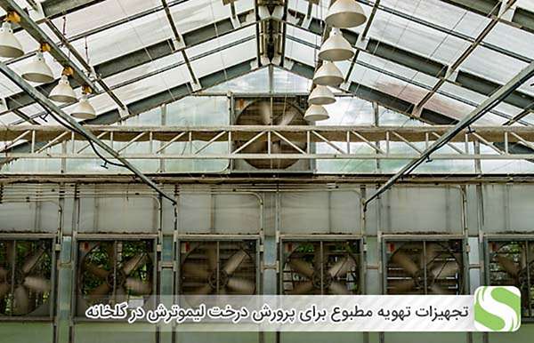 تجهیزات تهویه مطبوع برای پرورش درخت لیموترش در گلخانه - اندیشه سبز