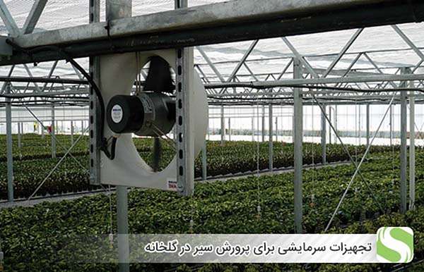تجهیزات سرمایشی برای پرورش سیر در گلخانه - اندیشه سبز