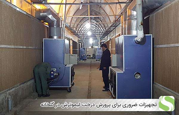 تجهیزات ضروری برای پرورش درخت لیموترش در گلخانه - اندیشه سبز