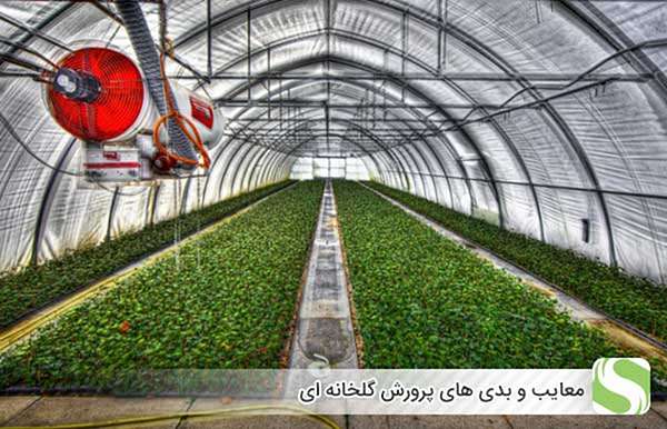معایب و بدی های پرورش گلخانه ای - اندیشه سبز