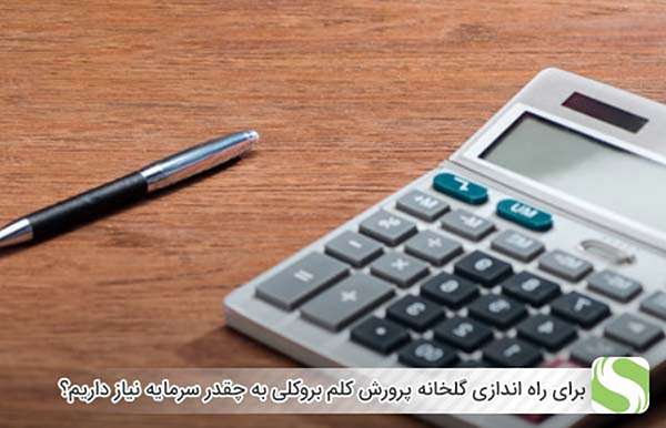 برای راه اندازی گلخانه پرورش کلم بروکلی به چقدر سرمایه نیاز داریم؟ - اندیشه سبز