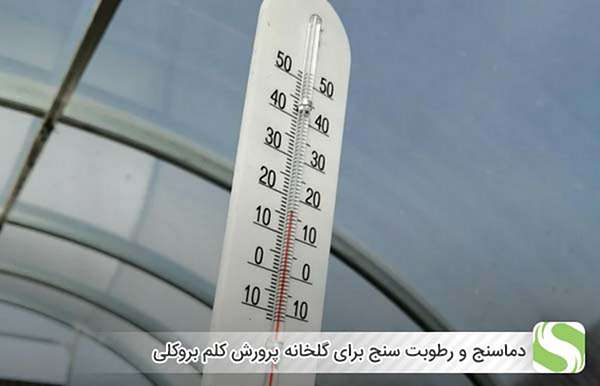دماسنج و رطوبت سنج برای گلخانه پرورش کلم بروکلی - اندیشه سبز