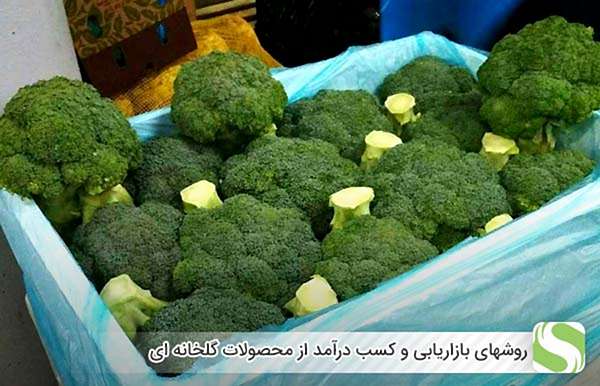 روشهای بازاریابی و کسب درآمد از محصولات گلخانه ای - اندیشه سبز