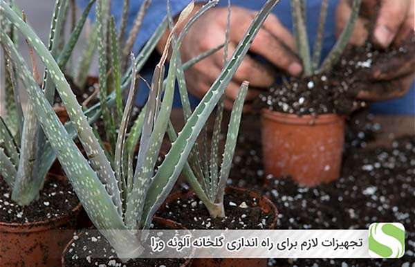 تجهیزات لازم برای راه اندازی گلخانه آلوئه ورا - اندیشه سبز