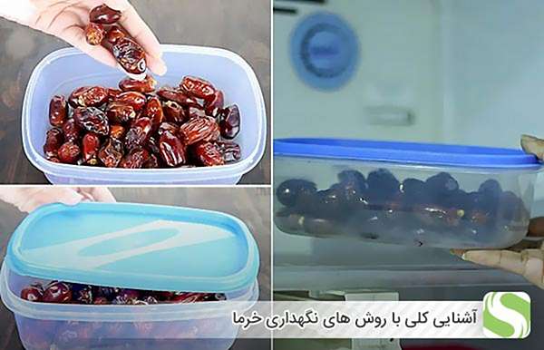 آشنایی کلی با روش های نگهداری خرما - اندیشه سبز
