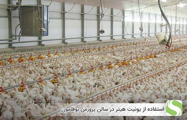 استفاده از یونیت هیتر در سالن پرورش بوقلمون - اندیشه سبز