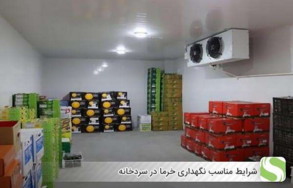 شرایط مناسب نگهداری خرما در سردخانه - اندیشه سبز
