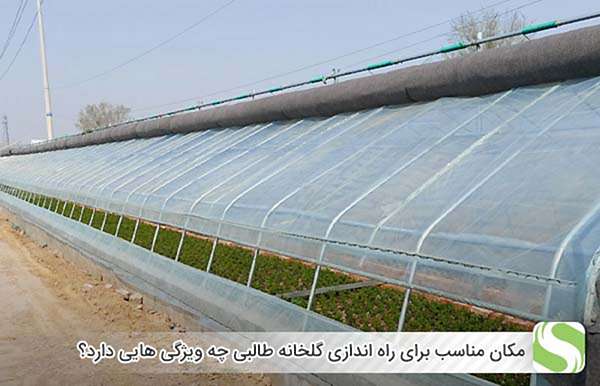 مکان مناسب برای راه اندازی گلخانه طالبی چه ویژگی هایی دارد؟ - اندیشه سبز