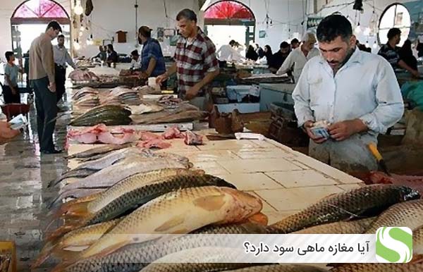 آیا مغازه ماهی سود دارد؟ - اندیشه سبز