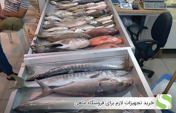 خرید تجهیزات لازم برای فروشگاه ماهی - اندیشه سبز