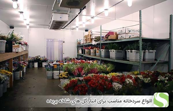 انواع سردخانه مناسب برای انبار گل های شاخه بریده - اندیشه سبز