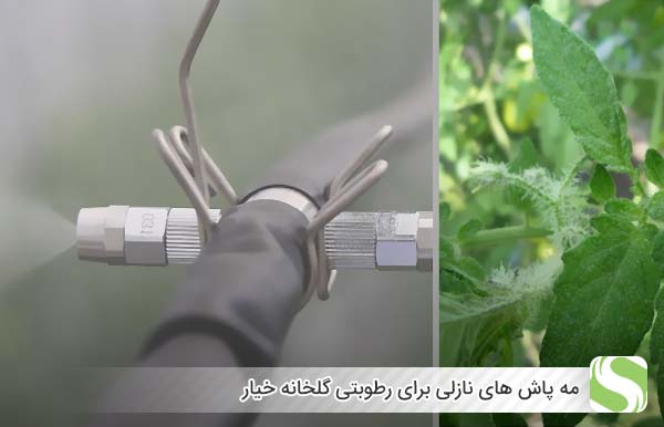 مه پاش های نازلی رطوبتی گلخانه خیار - اندیشه سبز