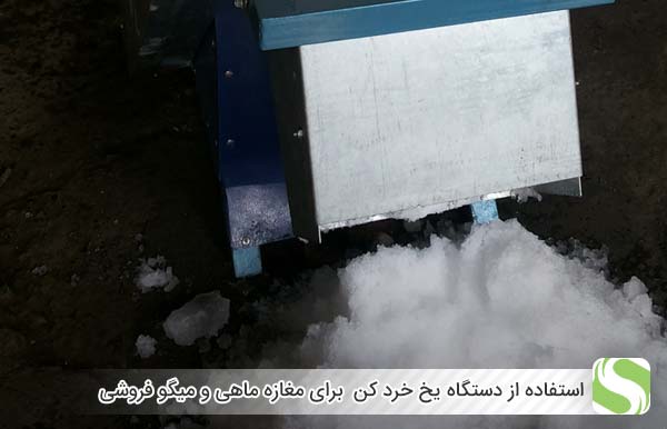 استفاده از دستگاه یخ خرد کن  برای مغازه ماهی و میگو فروشی - اندیشه سبز