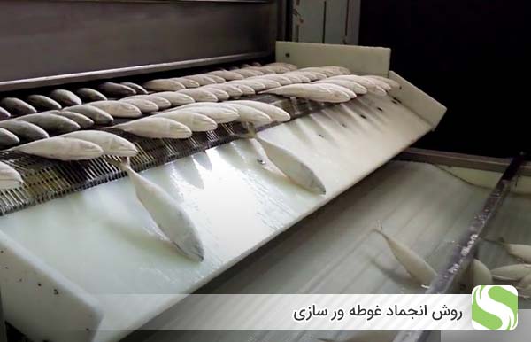 روش انجماد غوطه ور سازی - اندیشه سبز