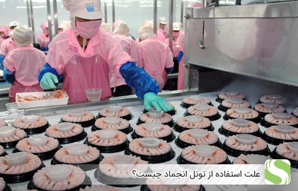 علت استفاده از تونل انجماد چیست؟ - اندیشه سبز