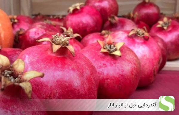 گندزدایی قبل از انبار انار - اندیشه سبز