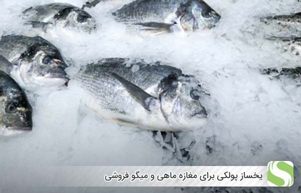 یخساز پولکی برای مغازه ماهی و میگو فروشی - اندیشه سبز