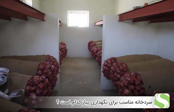 سردخانه مناسب برای نگهداری پیاز کدام است ؟ - اندیشه سبز