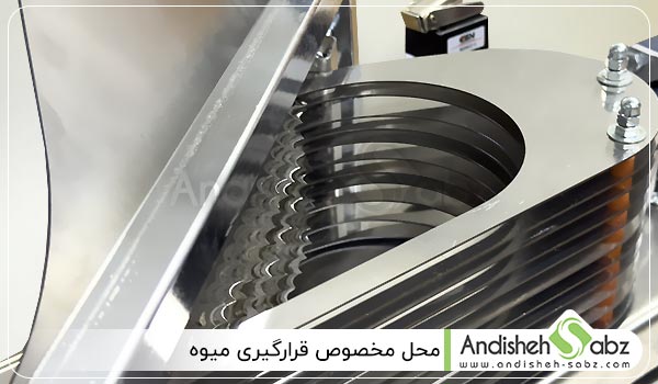 بررسی محل مخصوص قرارگیری میوه - اندیشه سبز
