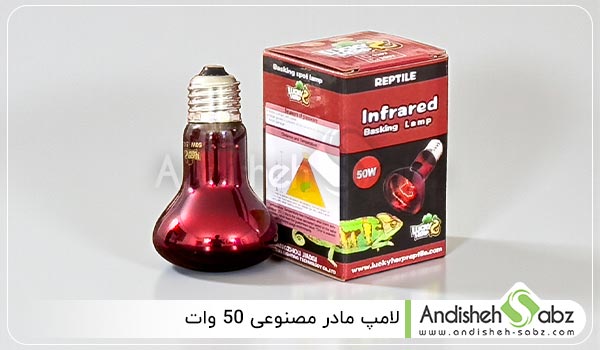 خرید لامپ مادر مصنوعی 50 وات با اشعه مادون قرمز - اندیشه سبز