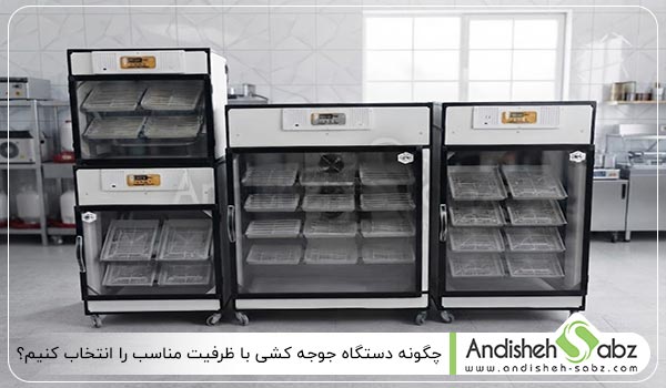 چگونه دستگاه جوجه کشی با ظرفیت مناسب انتخاب کنیم - اندیشه سبز