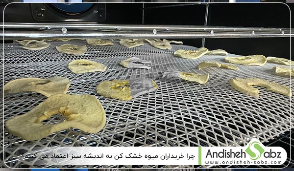 چرا خریداران میوه خشک کن به اندیشه سبز  اعتماد می کنند؟ - اندیشه سبز